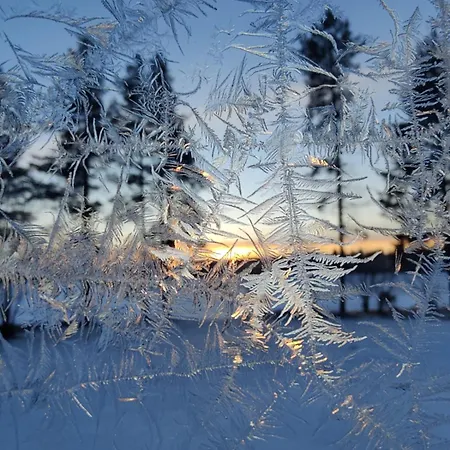 Rentola Lapland A Peaceful And Cozy