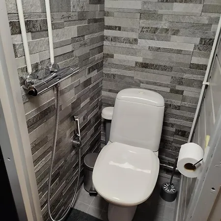 Rentola Lapland - Private And Cozy Beach Cottage - Northern Lights - Sauna * ロヴァニエミ