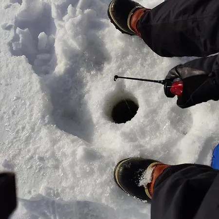 Rentola Lapland A Peaceful And Cozy * Rovaniemi