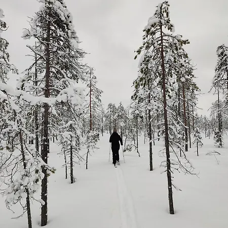 Rentola Lapland - Private And Cozy Beach Cottage - Northern Lights - Sauna * ロヴァニエミ