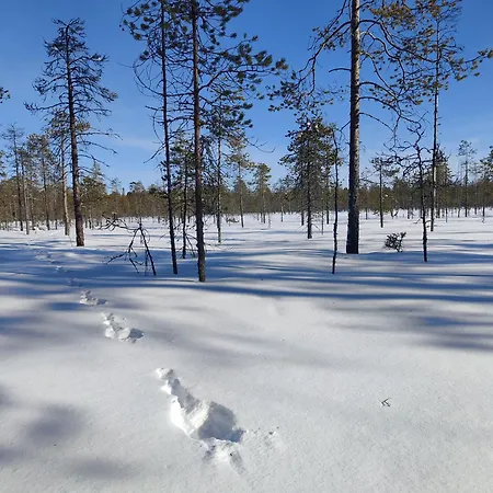 Rentola Lapland A Peaceful And Cozy