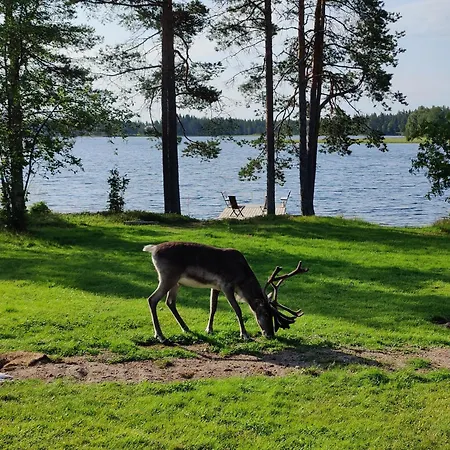 Rentola Lapland - Private And Cozy Beach Cottage - Northern Lights - Sauna ロヴァニエミ