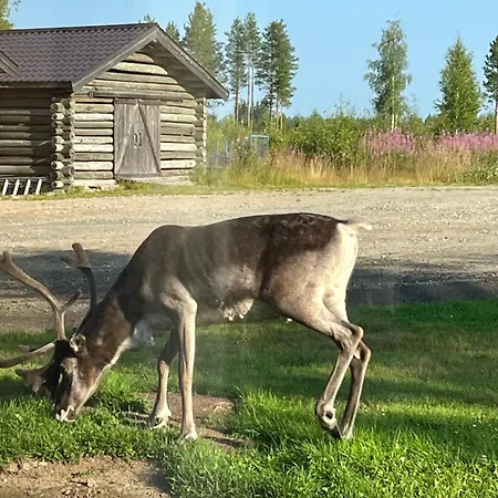 Rentola Lapland A Peaceful And Cozy Dağ evi