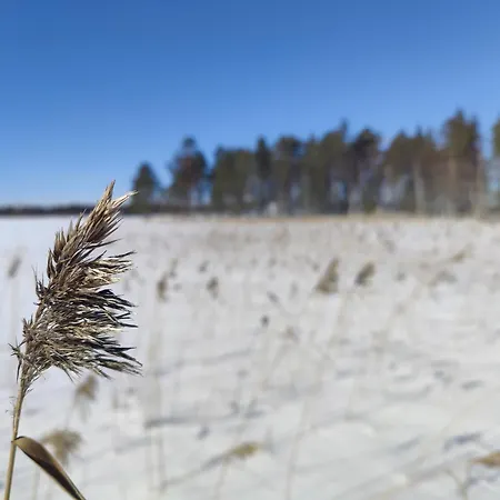 Rentola Lapland - Private And Cozy Beach Cottage - Northern Lights - Sauna シャレー *