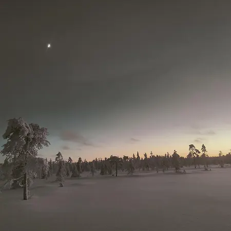 Rentola Lapland - Private And Cozy Beach Cottage - Northern Lights - Sauna ロヴァニエミ