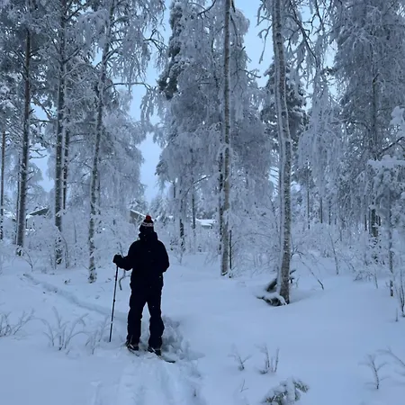 Rentola Lapland - Private And Cozy Beach Cottage - Northern Lights - Sauna ロヴァニエミ