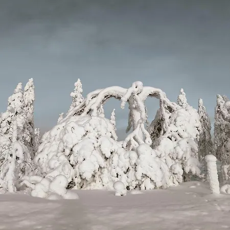 Rentola Lapland A Peaceful And Cozy Dağ evi