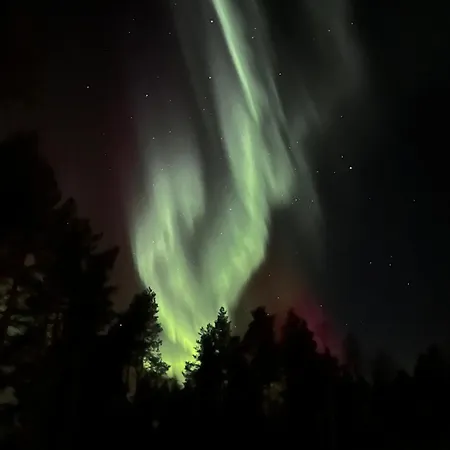 Rentola Lapland - Private And Cozy - Northern Lights - Sauna Chalet Rovaniemi