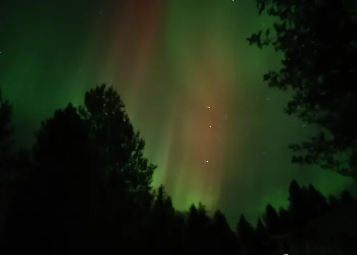 Rentola Lapland A Peaceful And Cozy