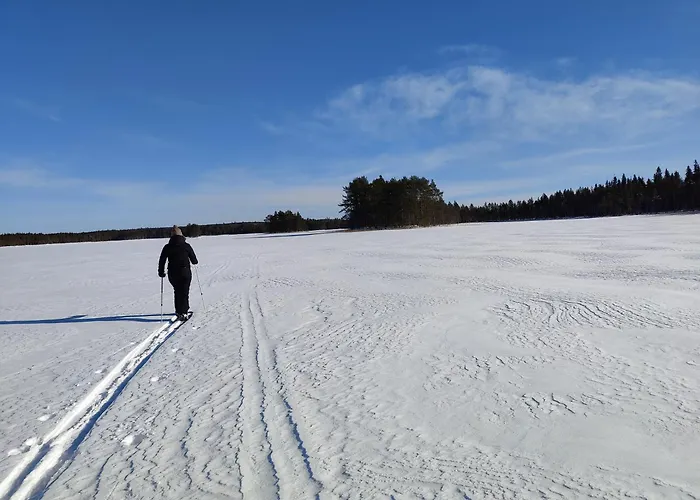 Chalet Rentola Lapland A Peaceful And Cozy Rovaniemi