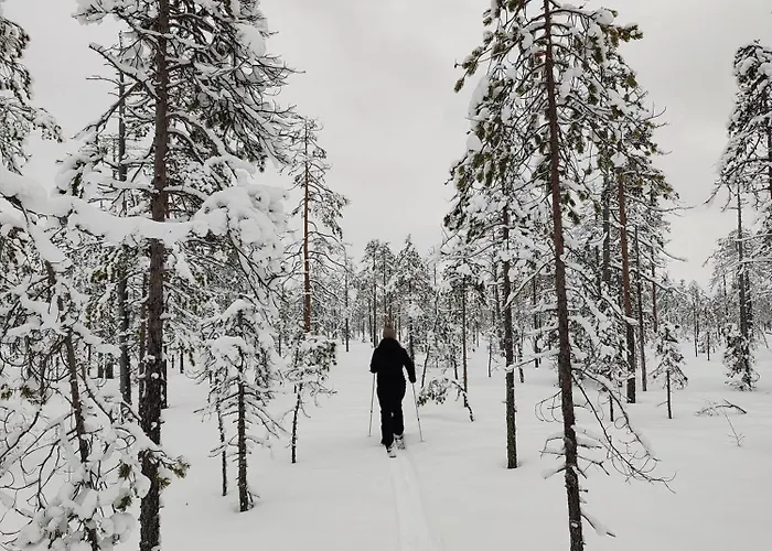 Rentola Lapland A Peaceful And Cozy * Rovaniemi