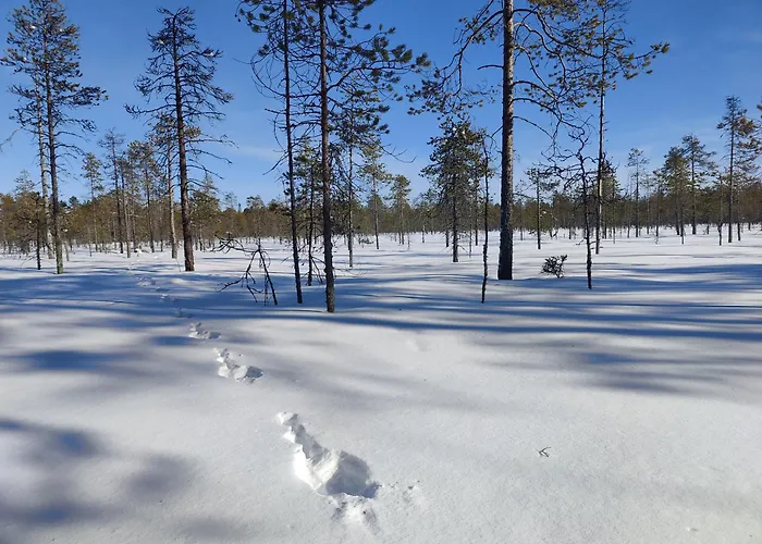 Rentola Lapland A Peaceful And Cozy