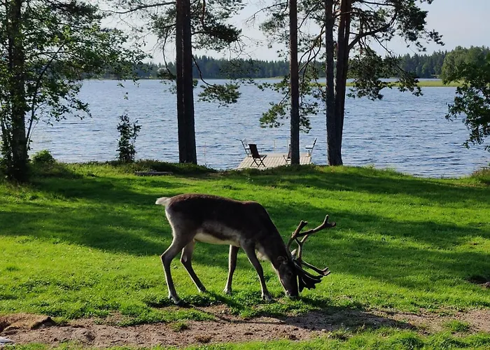 Rentola Lapland A Peaceful And Cozy Rovaniemi