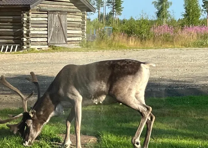 Rentola Lapland A Peaceful And Cozy Chalet