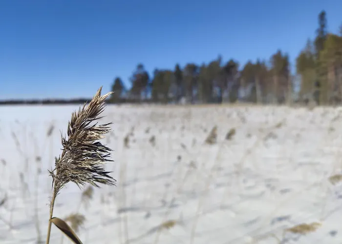 Rentola Lapland A Peaceful And Cozy Chalet *