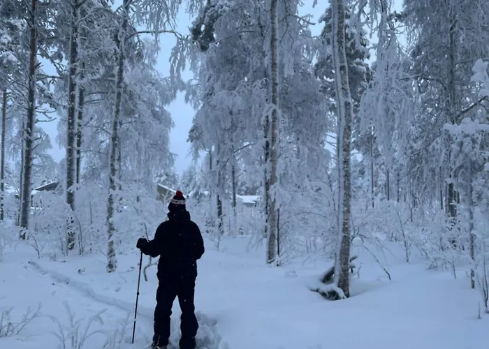 Rentola Lapland A Peaceful And Cozy Rovaniemi