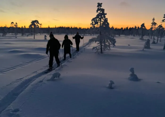Chalet Rentola Lapland A Peaceful And Cozy Rovaniemi