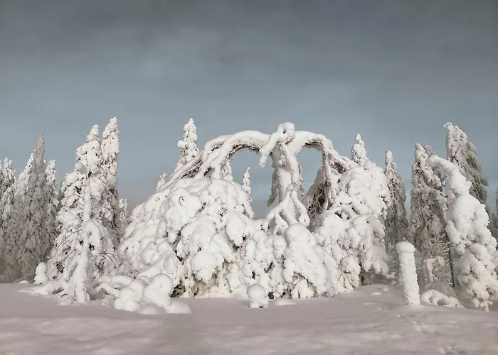 Rentola Lapland A Peaceful And Cozy Chalet